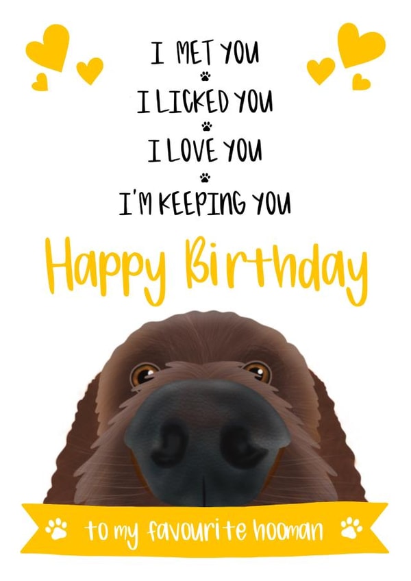 Cute Birthday Card from the Dog created by The Merry Giraffe