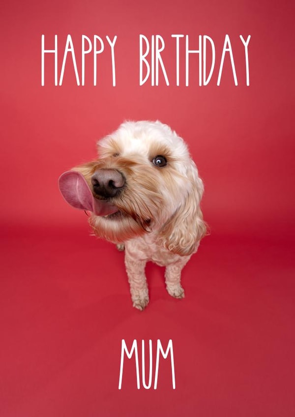 Happy Birthday Mum Cockapoo Greetings Card created by The Yorkshire Pawtrait Co.