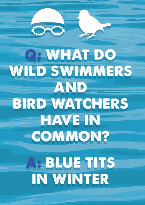 Wild Swimming Blue Tits created by MOJO Creative Studio