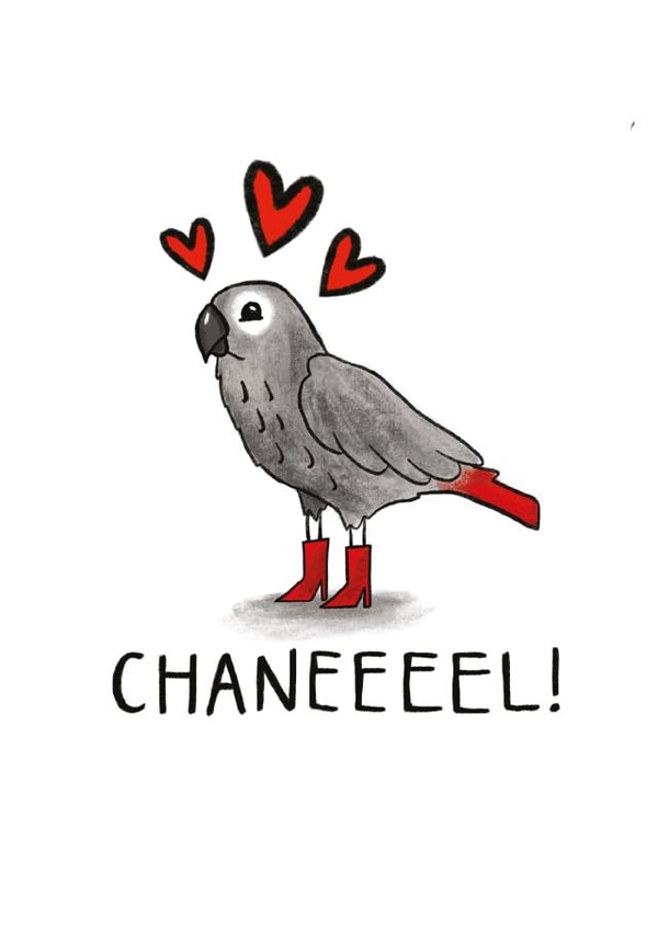 Chanel African Grey Parrot Valentines Anniversary Card created by Odd Socks