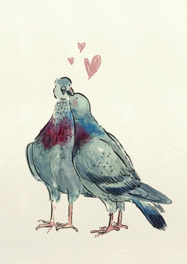 Love Coo! created by Becca Hall illustration