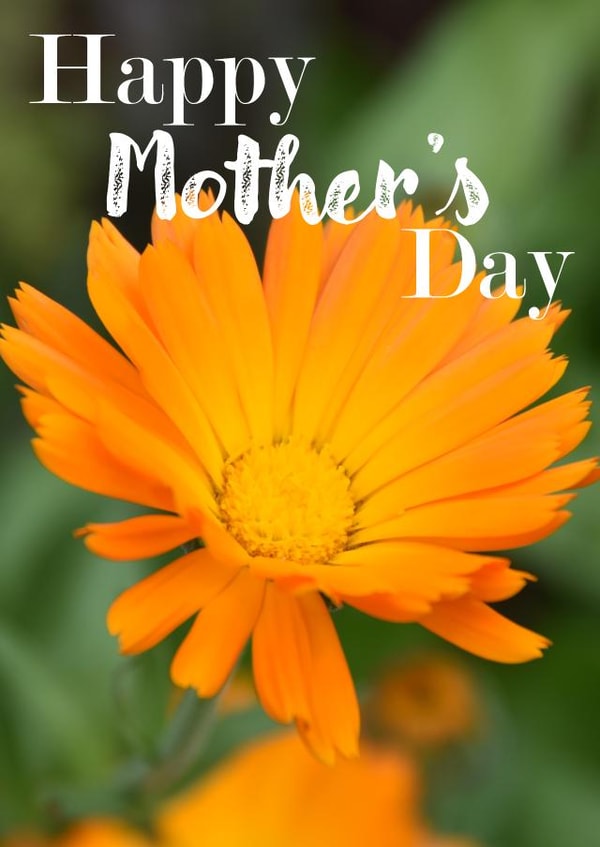 Mothers Day Card created by R.McNally Photography