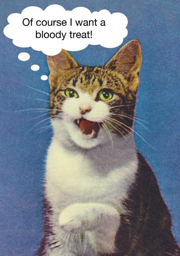Funny Cat Wants a bloody treat card created by kissmekwik