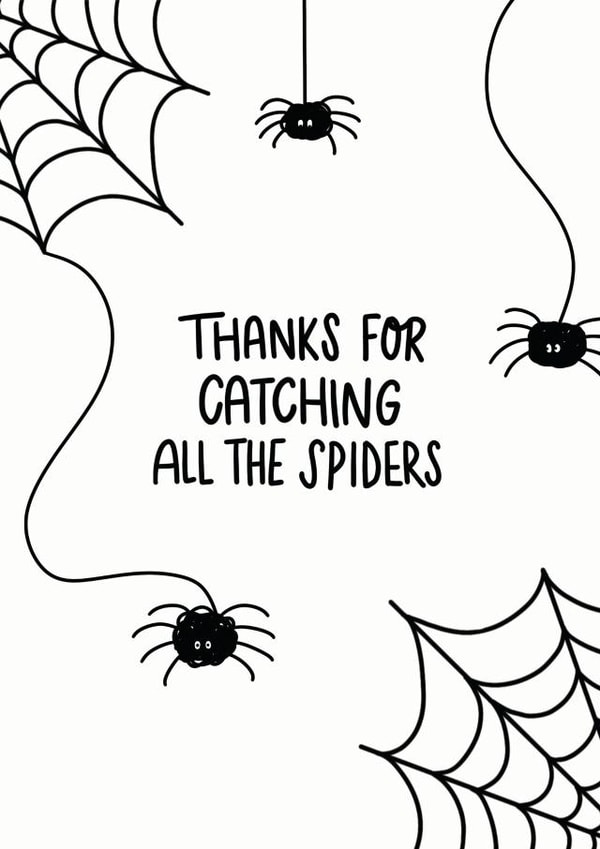 Thanks for catching spiders created by Charlotte Banks