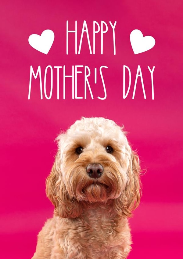 Cute Mothers Day Card - From The Dog - Cockapoo - Happy Mother's Day created by The Yorkshire Pawtrait Co.