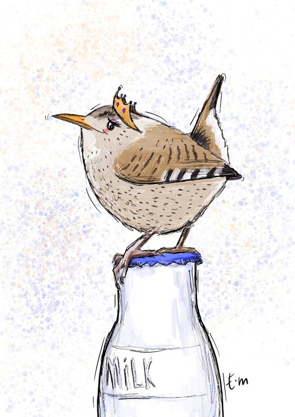 Little princess  created by Esther Maughan