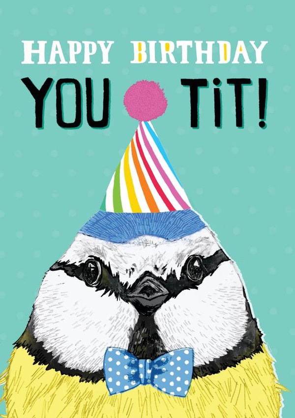 Happy birthday you tit! - funny blue tit bird card created by Pencilface