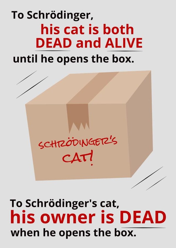 Schrodinger's Cat created by Sarcastic Notebooks