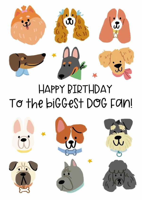 Congratulations on your new puppy  created by Lucy Rose Party