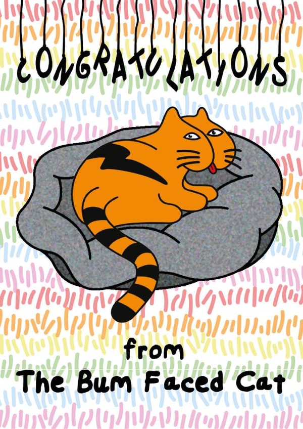 Bum Faced Cat Congratulations created by Sugarybenny