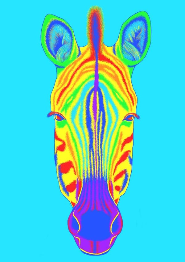 Rainbow Zebra Birthday Card created by Wild Natured