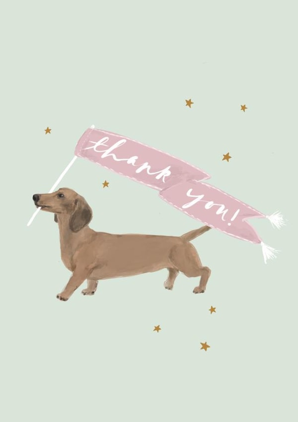 Sausage Dog Thank You Card With Dachshund illustration created by Honey & Velvet Studio