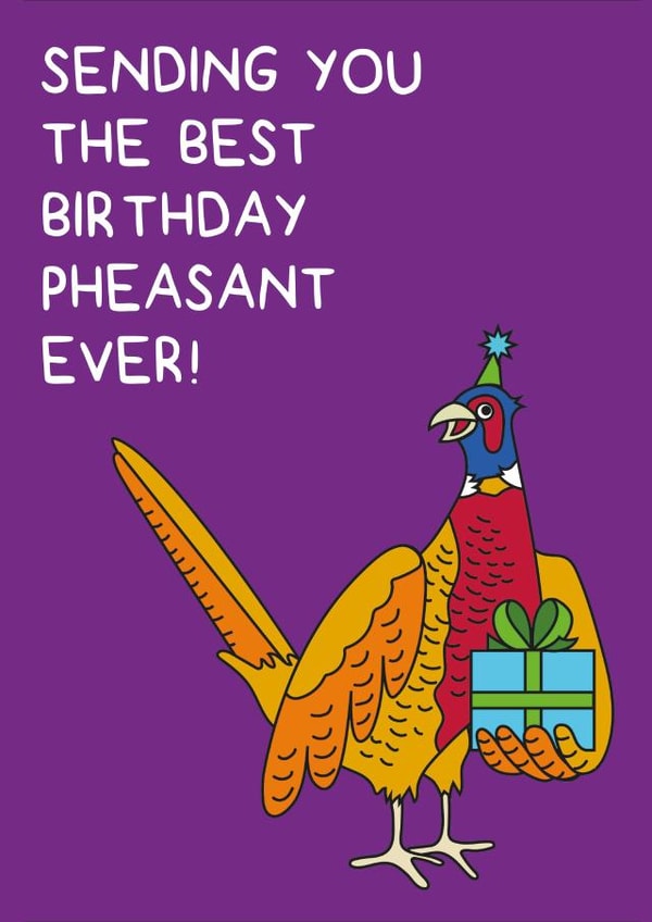 Sending you the best birthday phesant ever! created by Holly Tillier