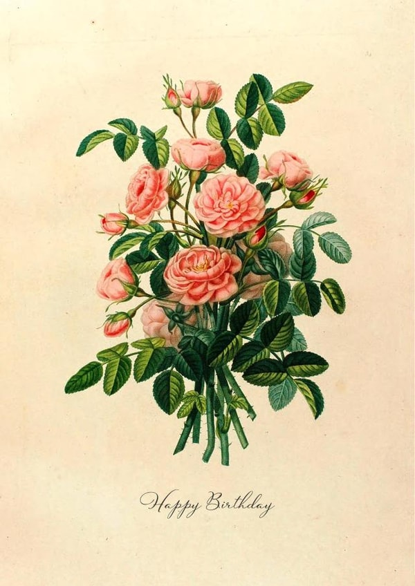 Roses On Your Birthday created by Aa Cards