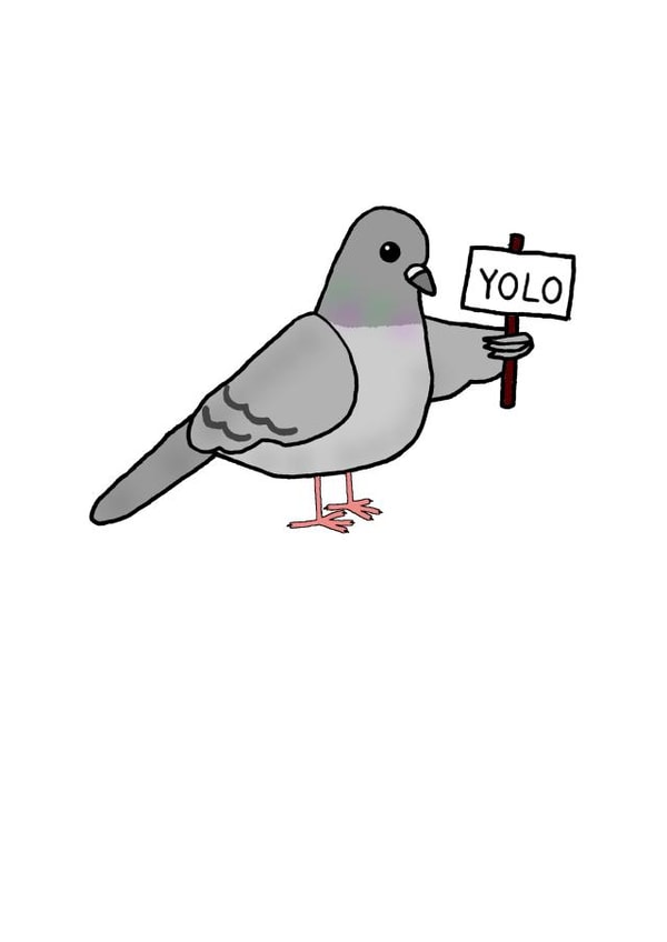 The YOLO Pigeon Any Occasion Card created by Random.Betty