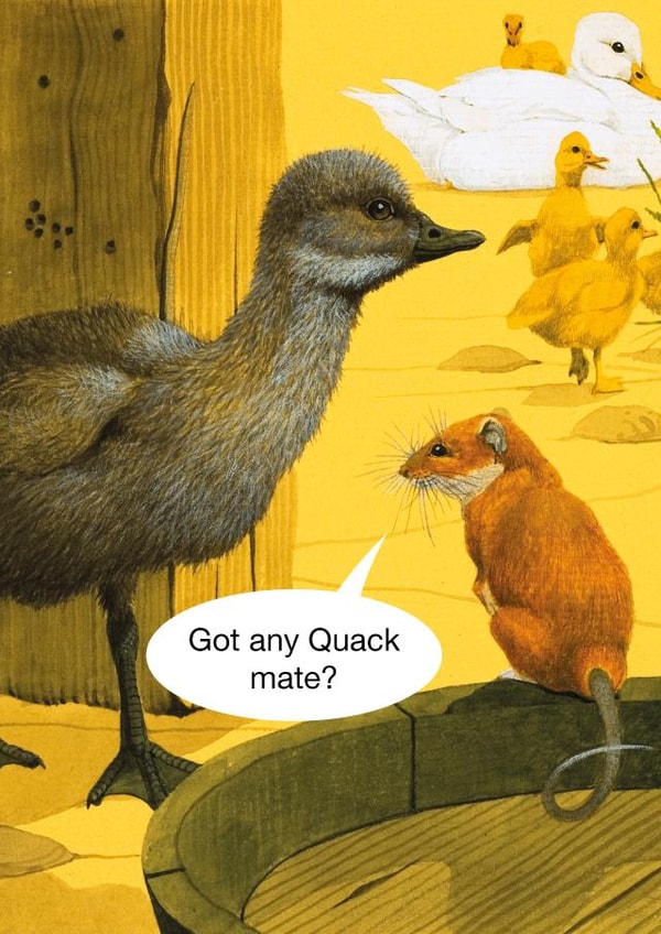 Got any Quack? Animal joke card created by kissmekwik