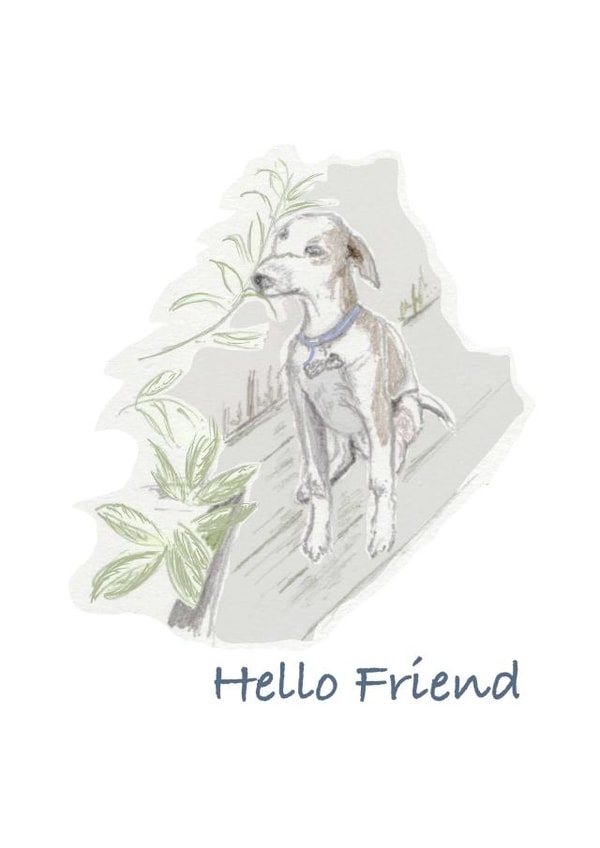 Cute puppy Thinking of you card - Hello Friend created by Kim Dakin