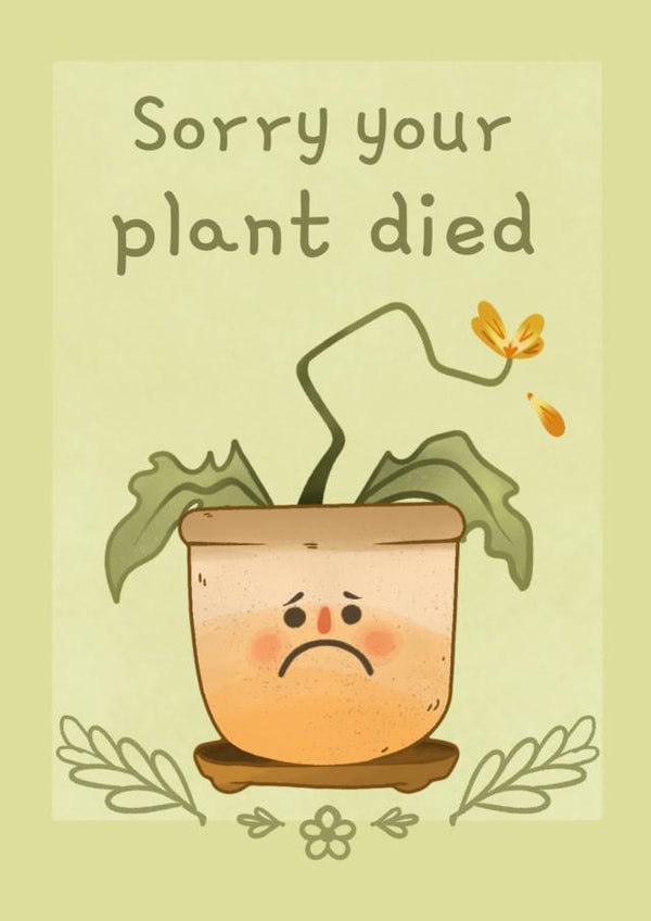 Sorry your plant died created by Hannah Hibbert