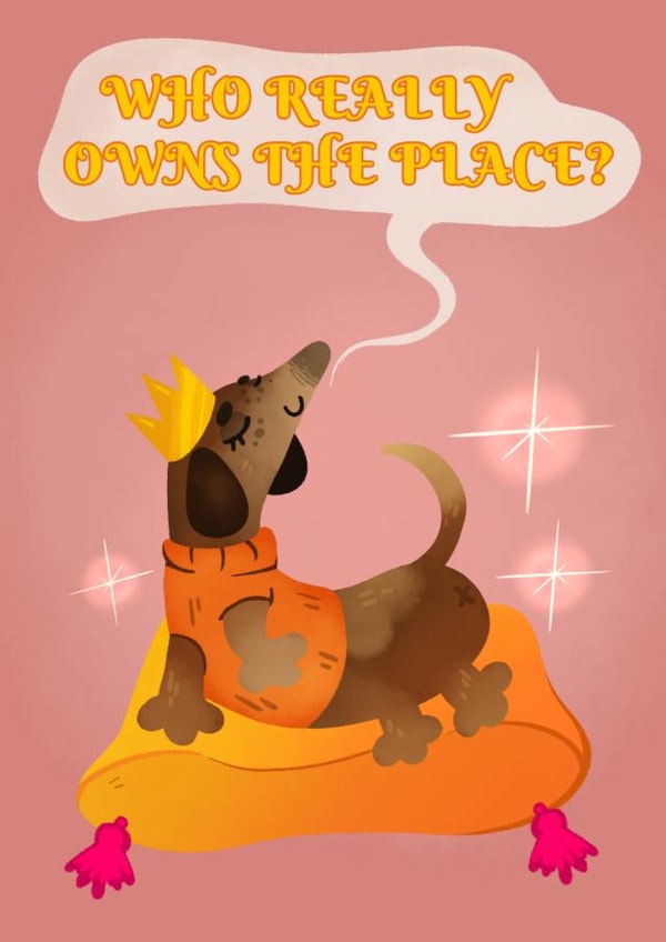 Who owns the place Dachshund card created by Hannah Hibbert