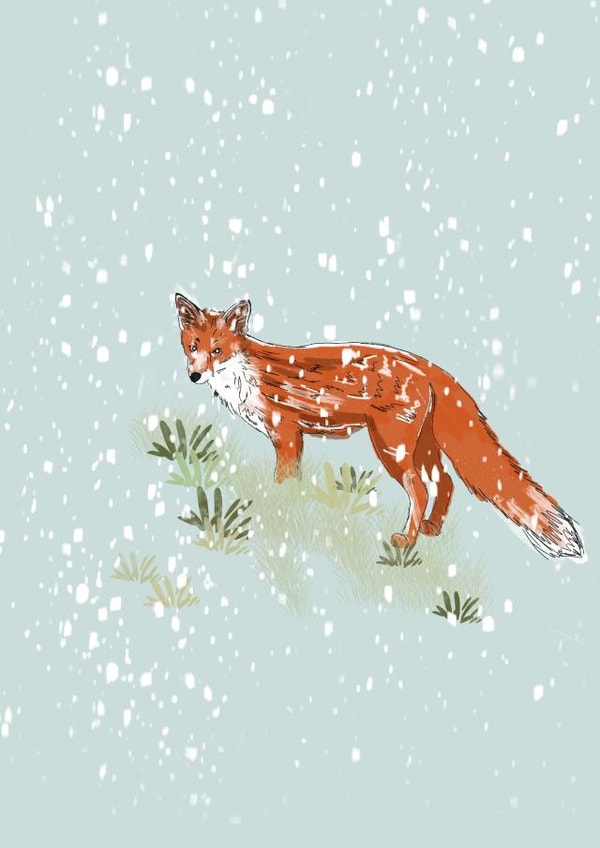 Fox wildlife greetings card  created by Lorna Ellen Photos