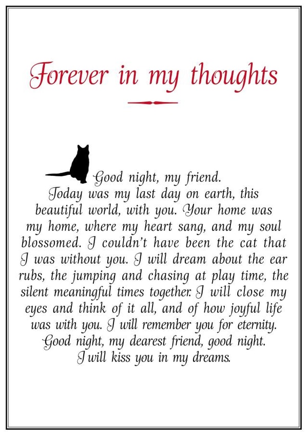 Cat sympathy card created by And Angels Kiss Their Fur