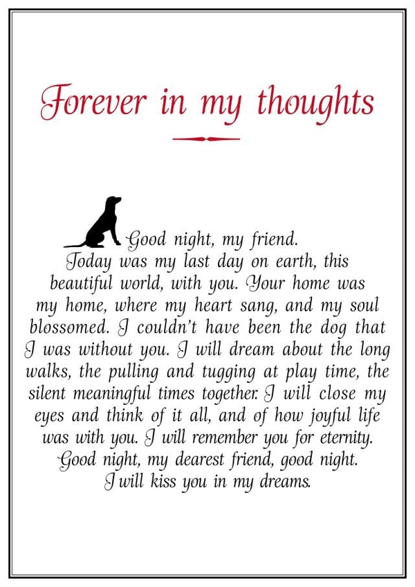 Dog sympathy card created by And Angels Kiss Their Fur