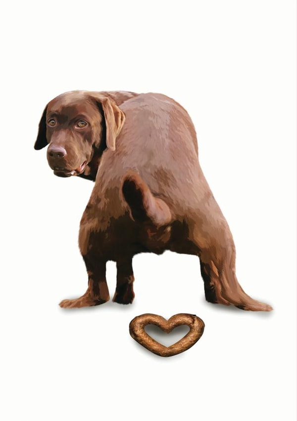 Dog Poo Heart Father's Day Card created by Tom Spencer