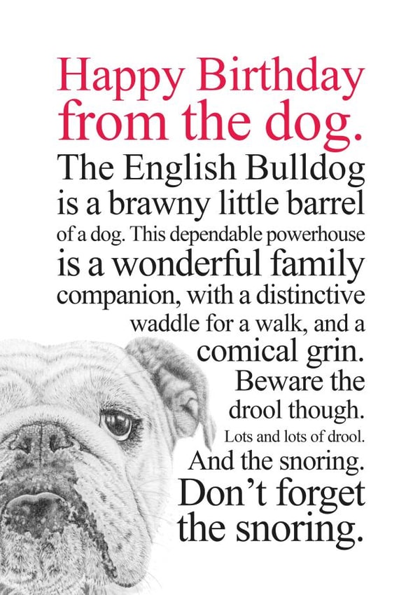 Funny Birthday Card From An English Bulldog created by Coulson Macleod