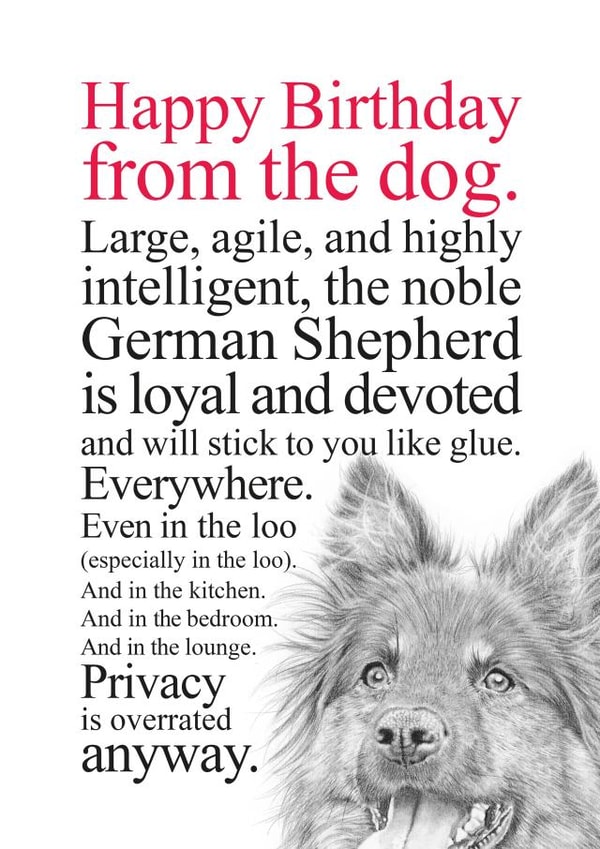 Funny Birthday Card From A German Shepherd Dog created by Coulson Macleod