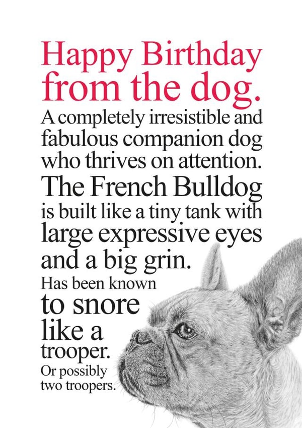 Funny Birthday Card From A French Bulldog created by Coulson Macleod
