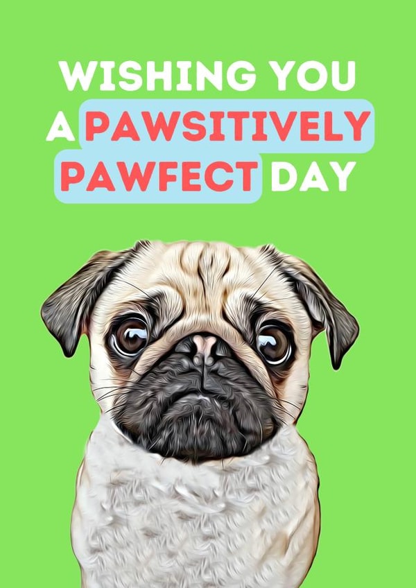 A Pawsitively Pawfect Day - Greeting Card created by The Daft Doodle Co.