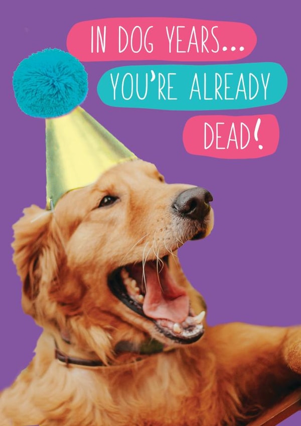 Happy birthday... In dog years, you're already dead!! created by Quitting Hollywood