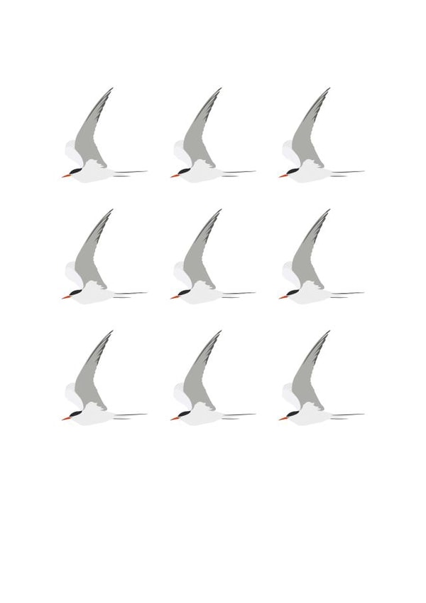 Tern Repeat created by Jaypea Art
