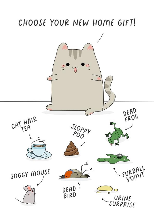 New home funny cat card created by Evie Garnett Designs