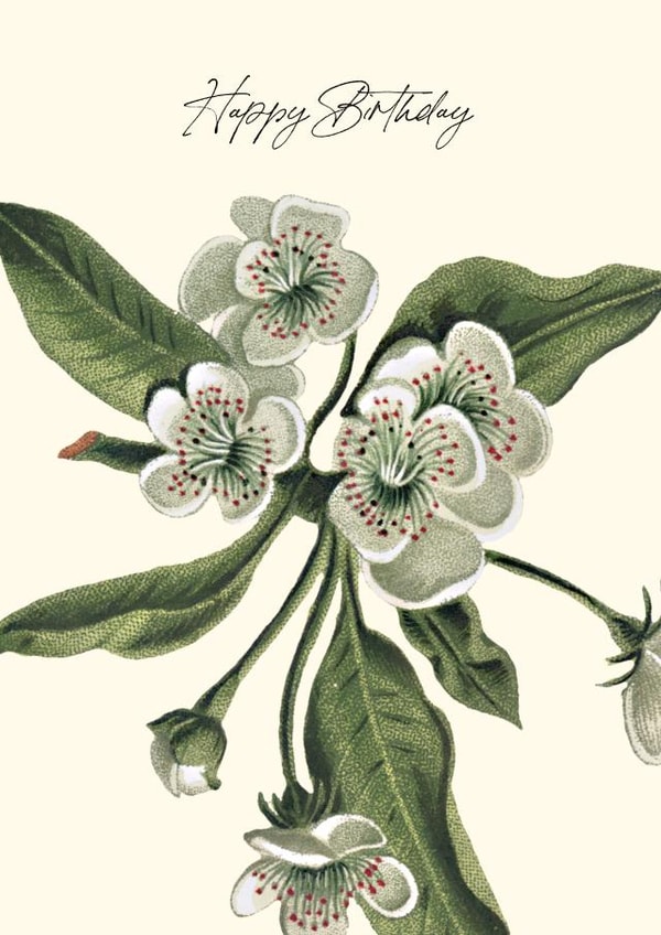 Classic Flower Blossom Birthday Card created by Makers