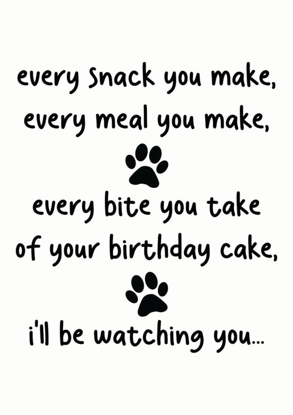 Funny Birthday Card From Dog created by Pick Your Cards Right