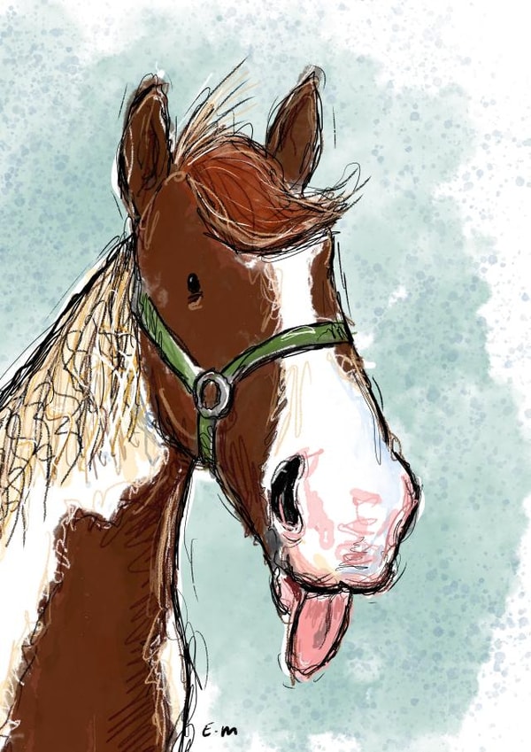 Cheeky horse created by Esther Maughan