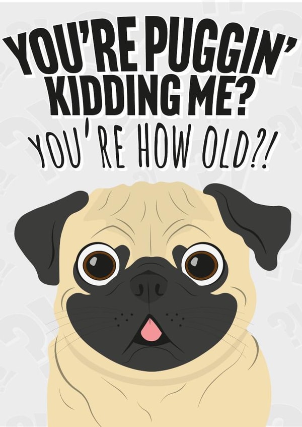 Funny Pug Pun Banter Birthday Card created by Cracking Cards!