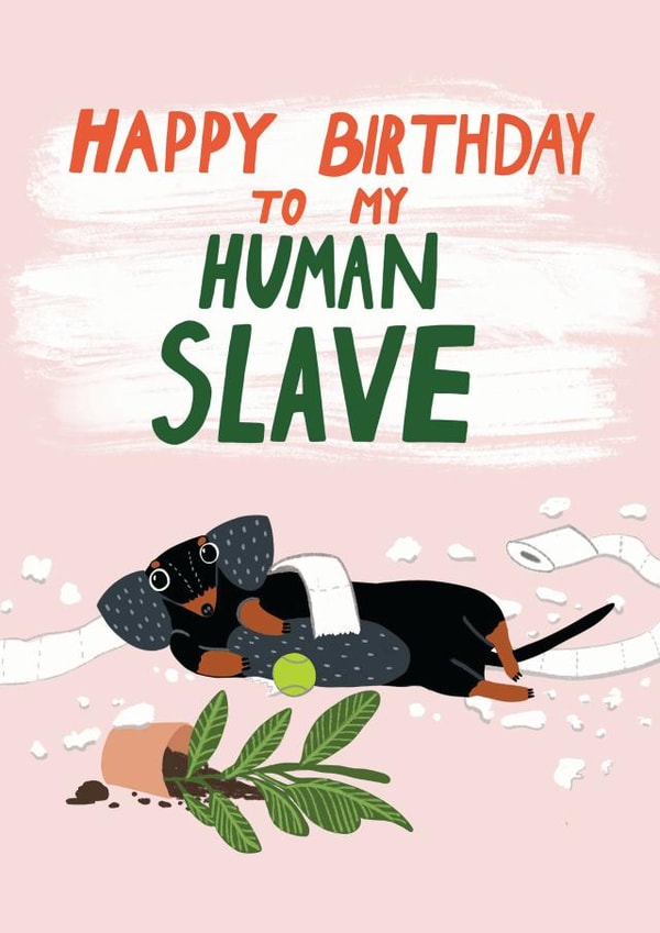 Funny Birthday card from the dog - Happy Birthday to my Human Slave - Dachshund created by Forever Funny