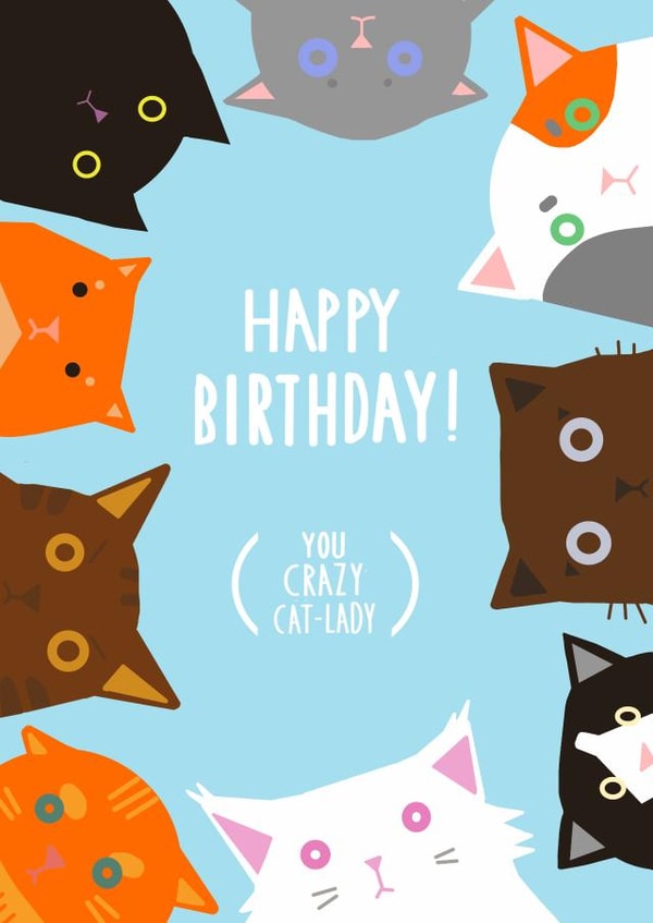 'Happy Birthday ! (you crazy cat-lady)' created by setsunai