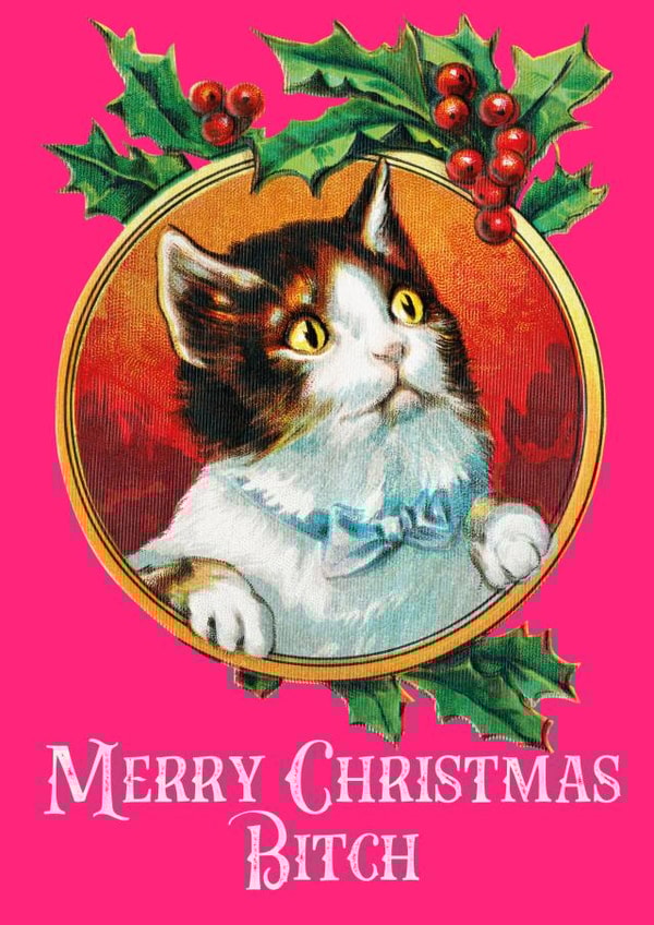 Merry Christmas bitch - cute vintage cat - retro Christmas card created by SillyBilly