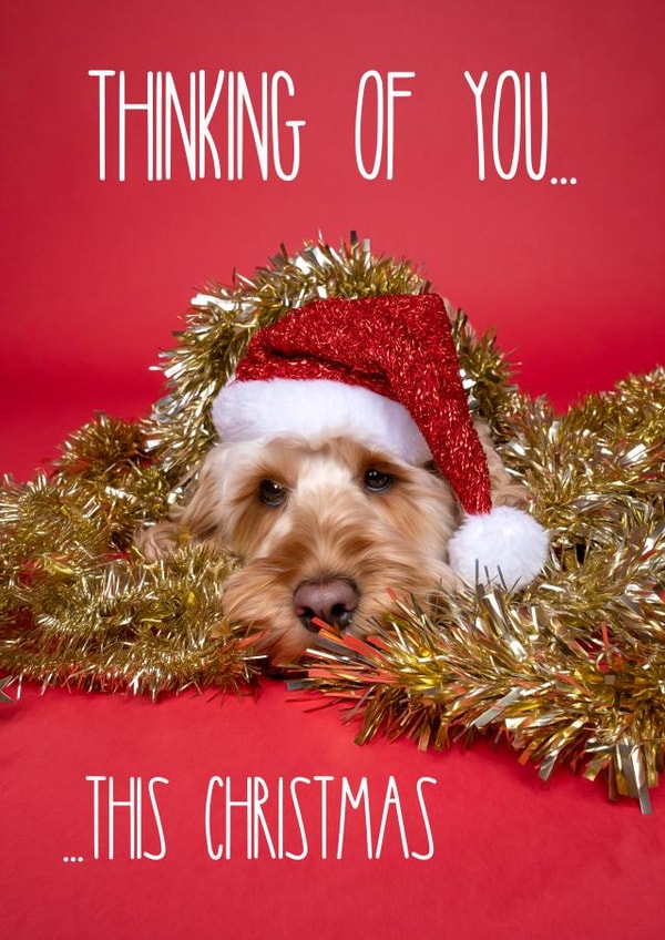 Thinking of You At Christmas Cockapoo Card created by The Yorkshire Pawtrait Co.