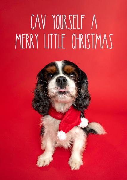 King Charles Spaniel Card | Merry Christmas Card | Christmas Dog Card | Merry Christmas & Happy New Year Dog Card | Pack Of 1, 3 Or 5