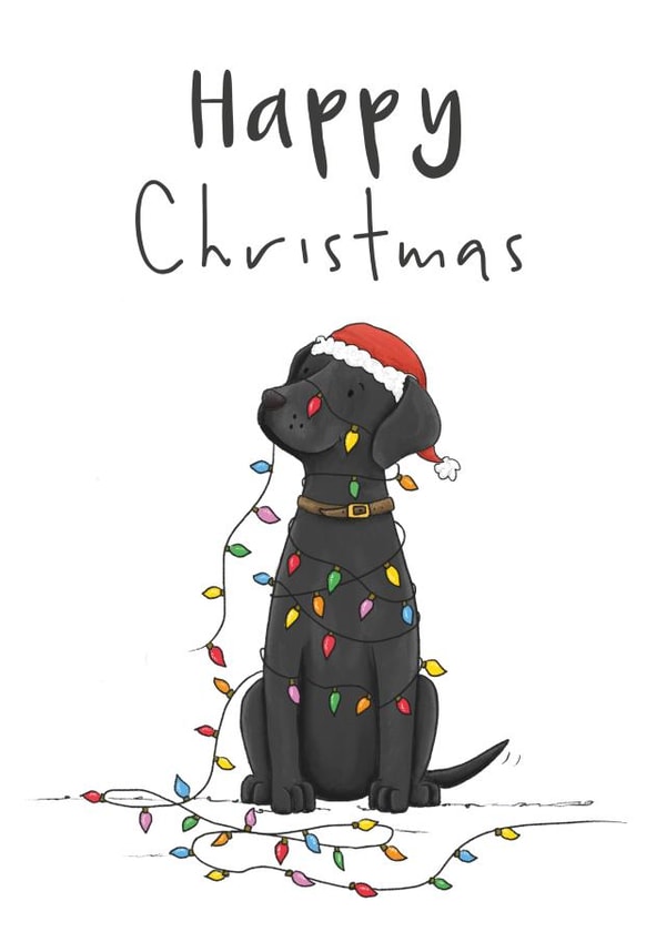 Cute Christmas card featuring a Black Labrador wrapped up in fairy lights created by Lucy Driver