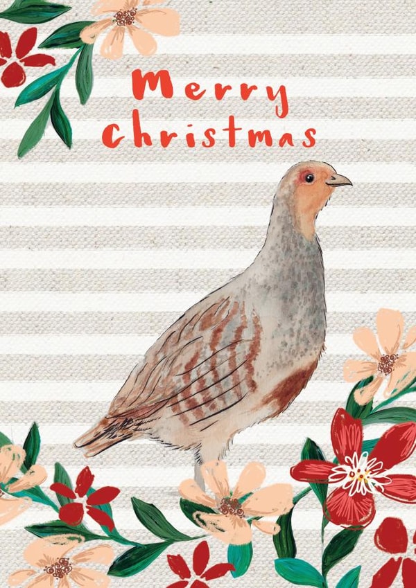 Beautiful Merry Christmas Partridge Bird - Cute Wildlife watercolour and pattern created by Miss Meaney's