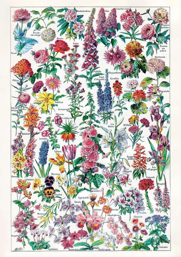 Any Occasion Flowers Card - Floral, Botany, Garden - Friendship, Thinking of You created by eo design & photo