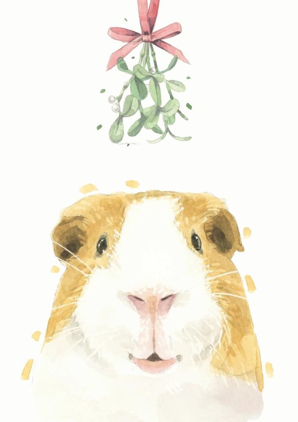 Guinea Pig Mistletoe Christmas Card created by Robert James Hull