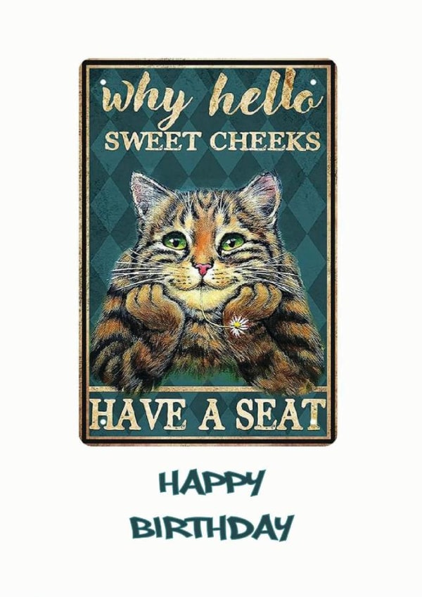 Another cute cat card from Strings created by David Stringer ( STRINGS )