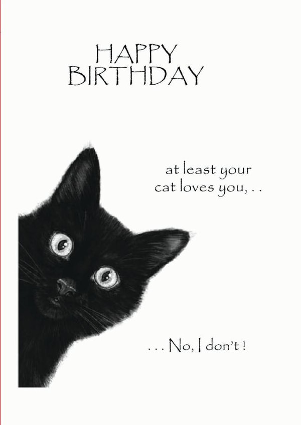 A cute cat card for your loved one on there birthday created by David Stringer ( STRINGS )