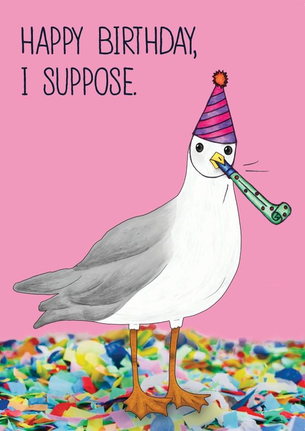 Funny Rude Seagull Birthday Card - Party Seagull - Happy Birthday, I suppose. created by Charlie - Cherry Pie Lane